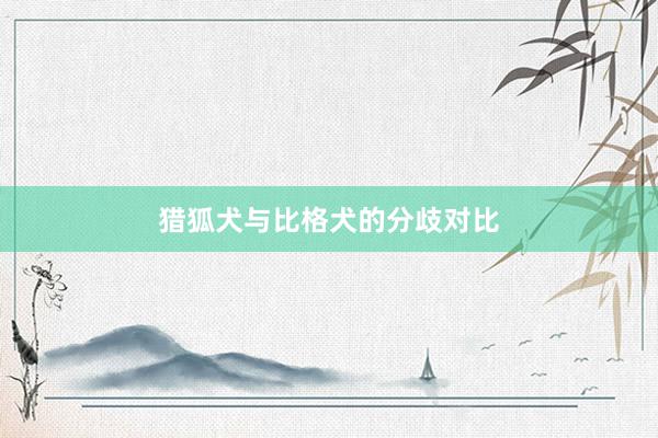 猎狐犬与比格犬的分歧对比